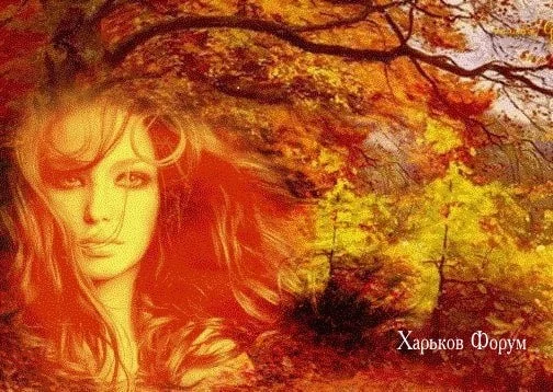 01e67045cd78b7bf8bf8f32.webp