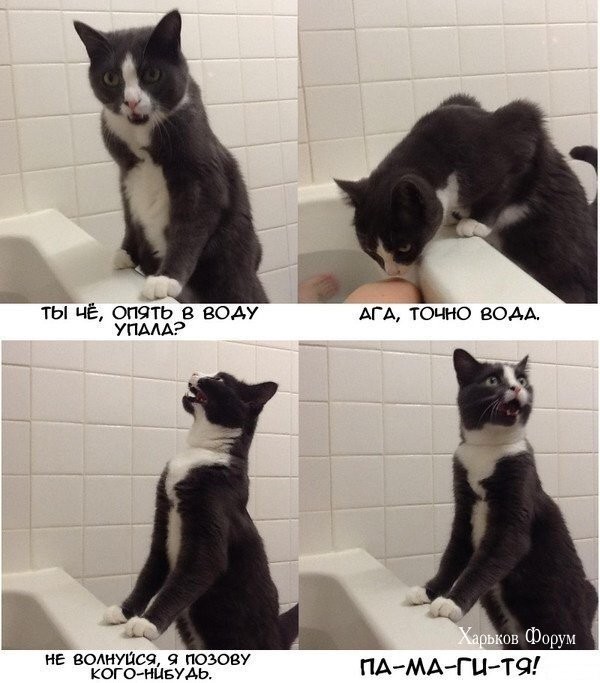 01f5c004465170fe8df.jpg