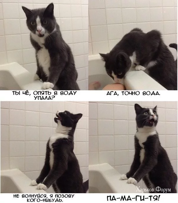 01f5c004465170fe8df.webp