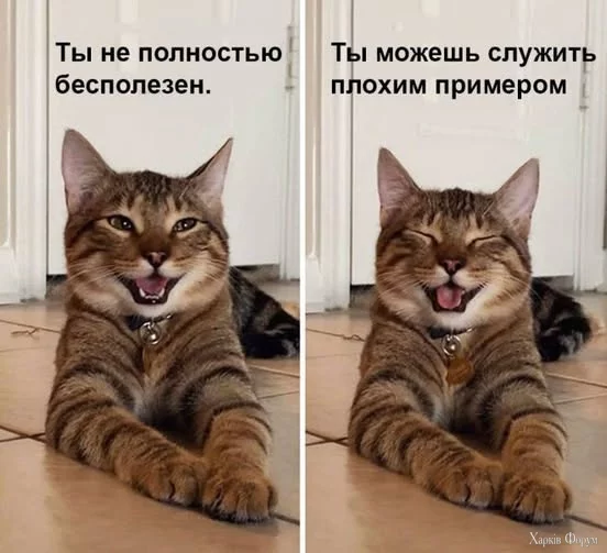 01rkxPZXWrYU940&_nc_zt=23&_nc_ht=scontent.fiev28-1.webp