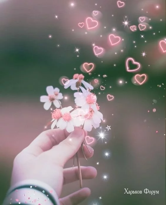 0203ee0df4f1a0467e5e4a.webp