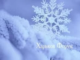 020956a266ebaa08.webp