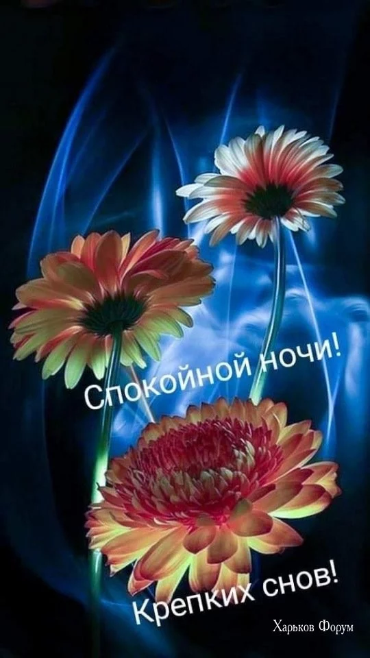 021350aac867eb6fddf927f.webp