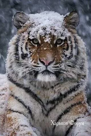 02194eb897eec2c15f4.webp