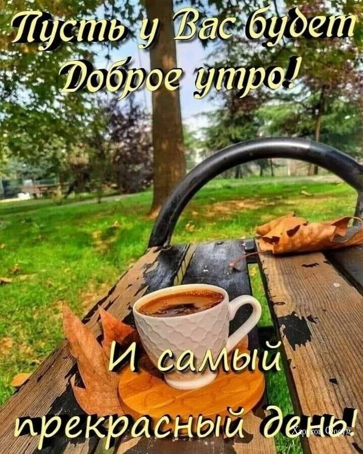 0220869df40d45744fd34.webp