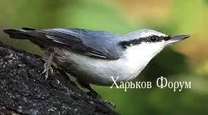 0231bea825a2e552db0af.webp