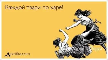 02344e9972babb78.webp