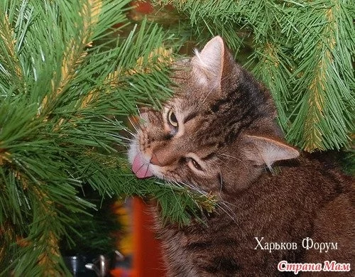 023460fc5cb8f679e0796f.webp