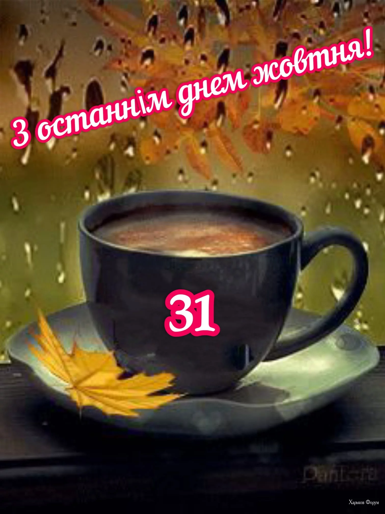 02388383f3e64c940647.webp