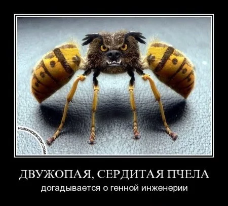 023934d938f2f281f1392434f4bffe0b.webp