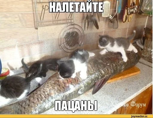 023b6127297dc6693f84.webp