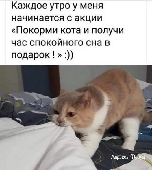 023c62512ee4ebc464bd.webp