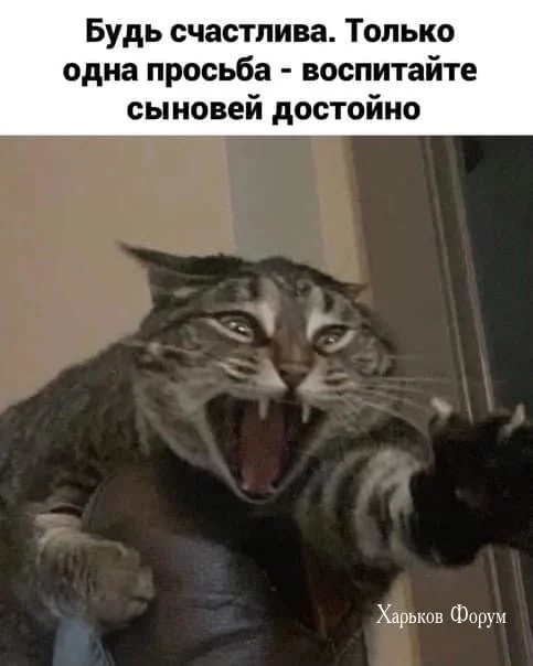 02490a85b076ca2cf.webp
