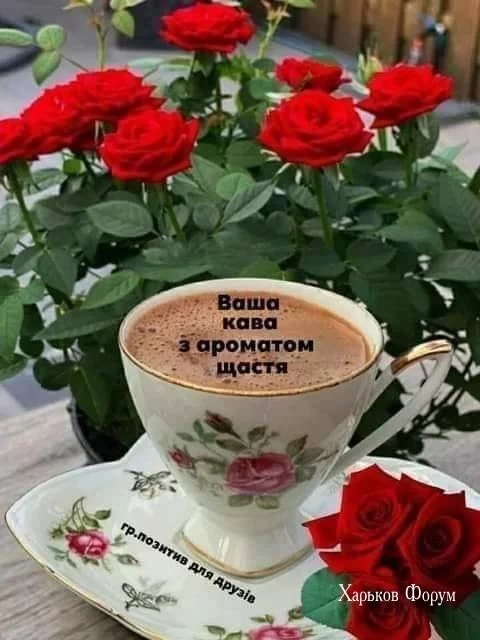 024da5857bf3bef0d43be.webp