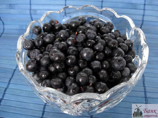 025a_bilberry.webp