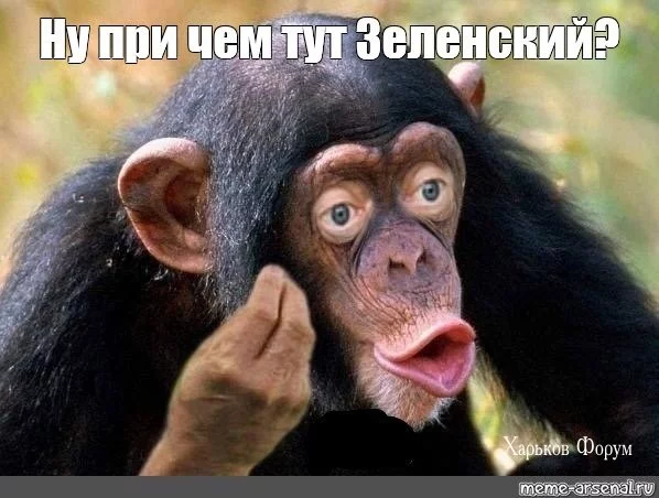 0273c4b61f759e28f0d7ffc.webp