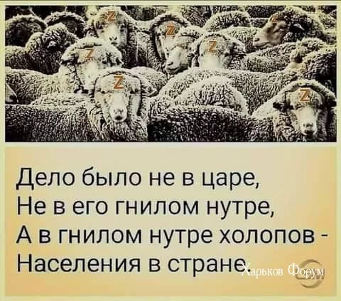 0277a28151d475cd736.webp