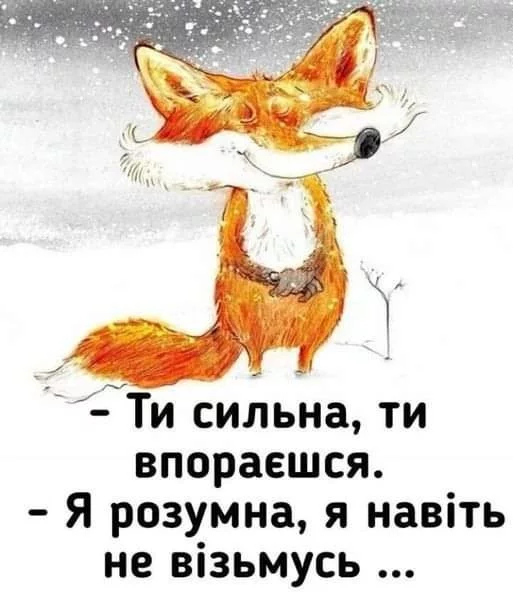 027e98182a641b416.webp