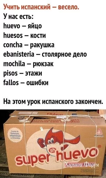 028565d5122ff2a4572a937.webp