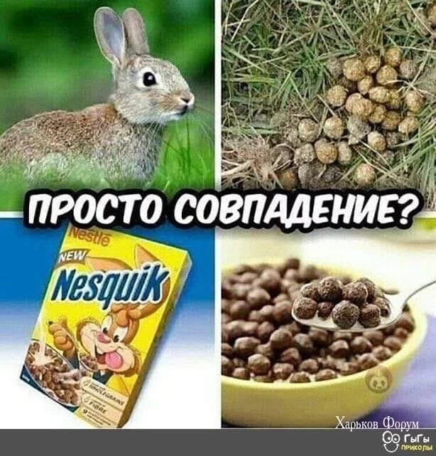 029256229909e1f6c3.webp