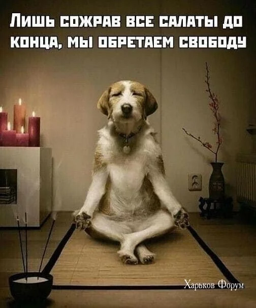 02a2265a3c82e6e59.webp