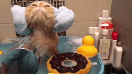 02a7e5689469b18df8af0bf9.gif
