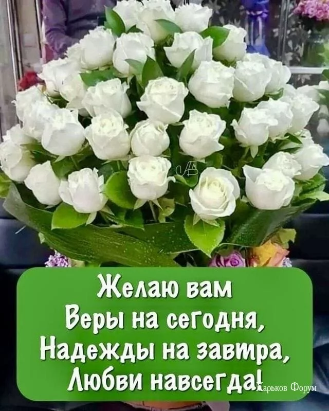 02bc0e27b3b3c60d6.webp