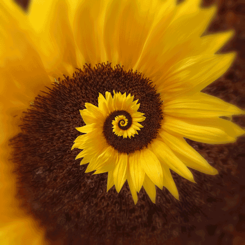 02c3b7070a78db50ea4d5b5.gif