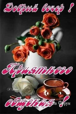 02c7c29cf45bd6412.webp