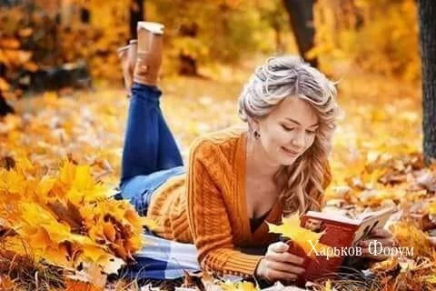 02c7f74cafd25cc3.webp