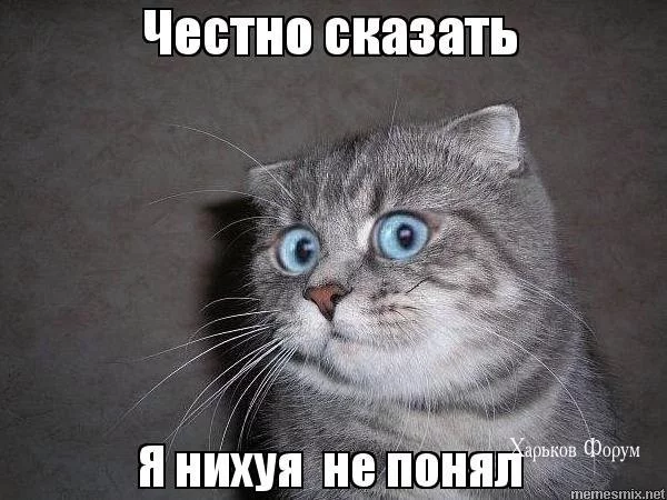 02cc195c49824ac2.webp