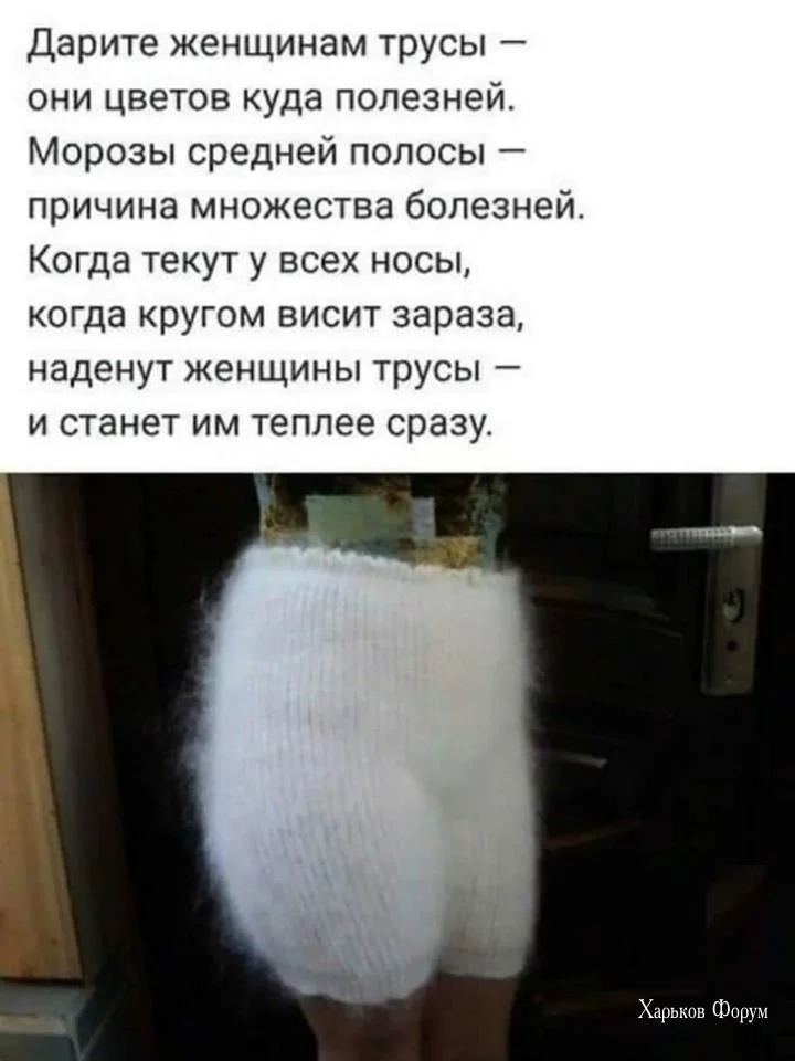 02f0201def95e6fb376.webp