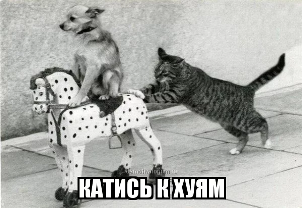 0306130336074186.webp