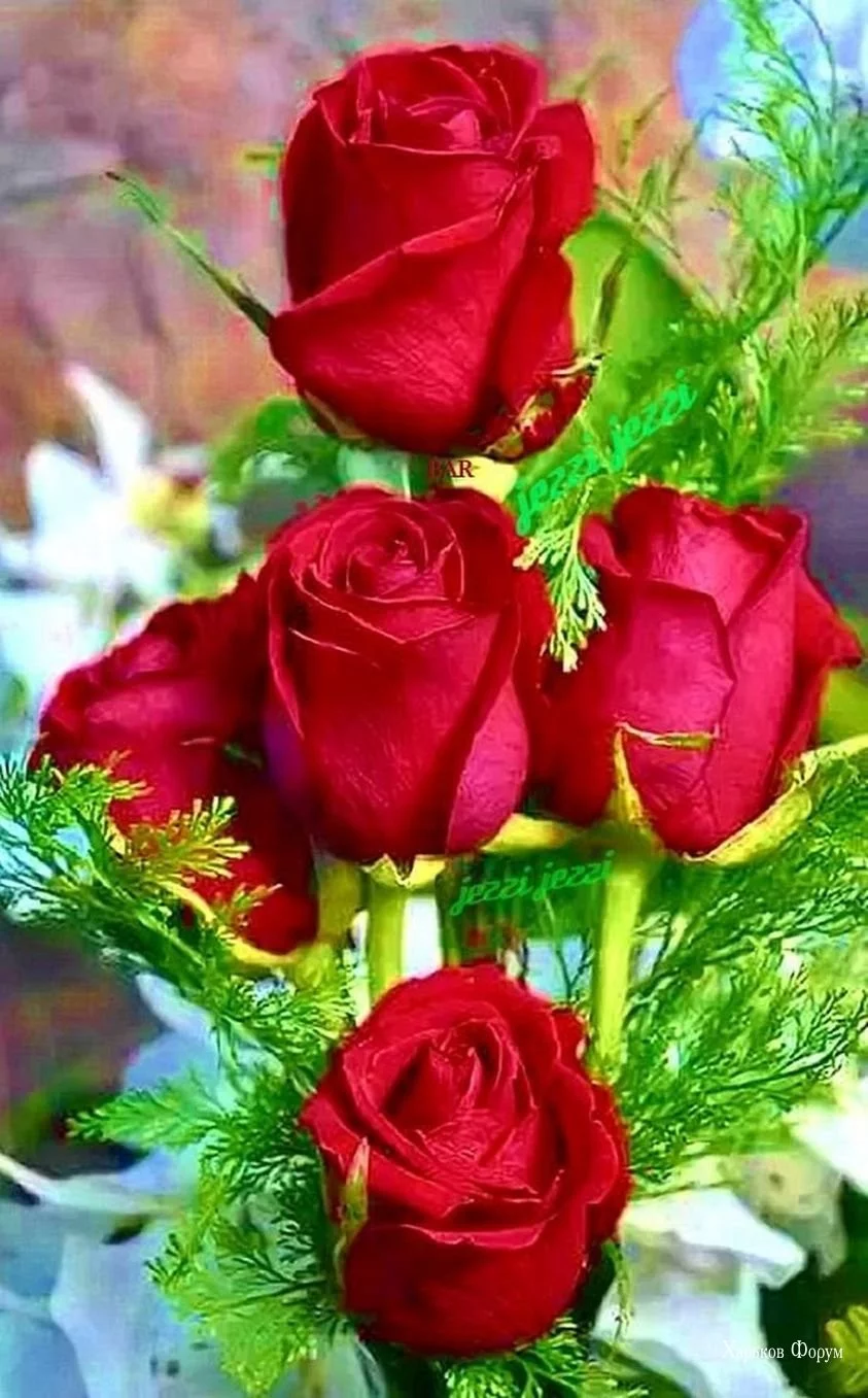 03252782c57c825f24ec6608.webp