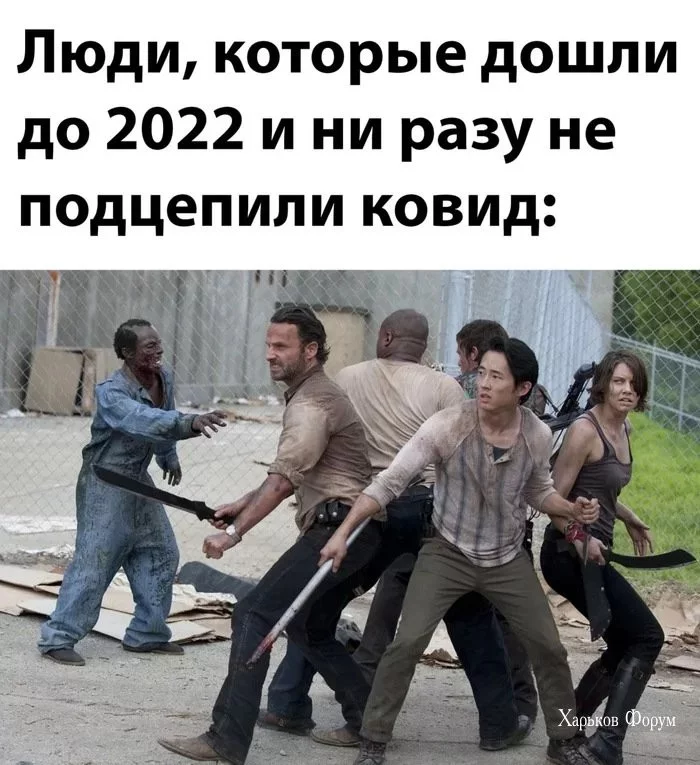 032d4d7cc234135a3217fb.webp