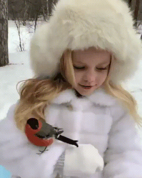 0334795a84237105f.gif