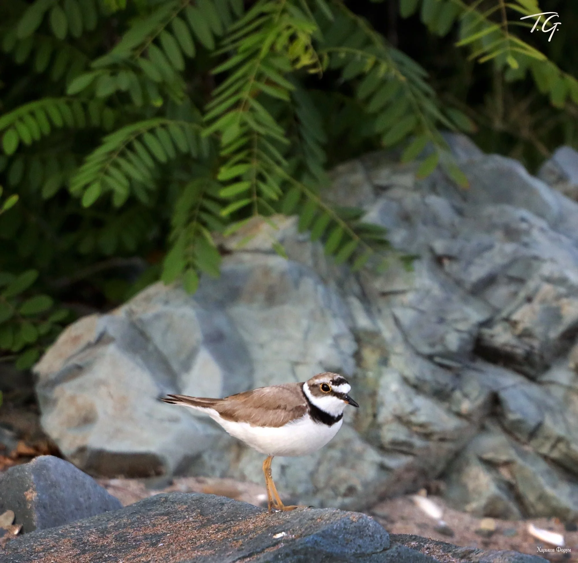 034023ab130c39d9962a13c9.webp
