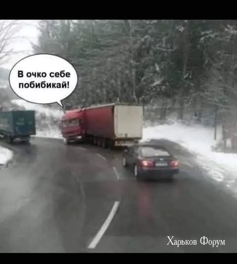 034e0562db0bf735e.webp