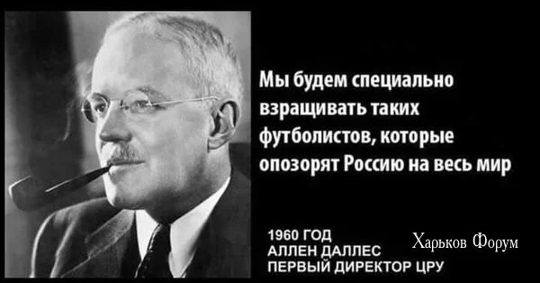 0354dfa71bf0aaaddc9820d.webp