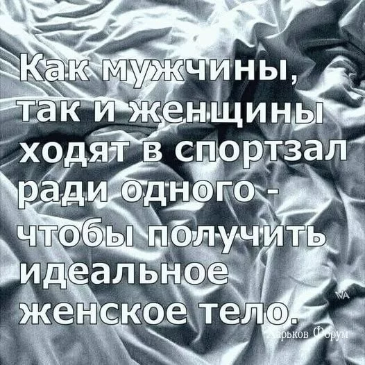 035e15867ffeaa20e3ab.webp