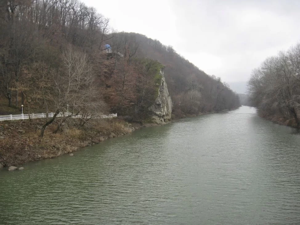 036.webp