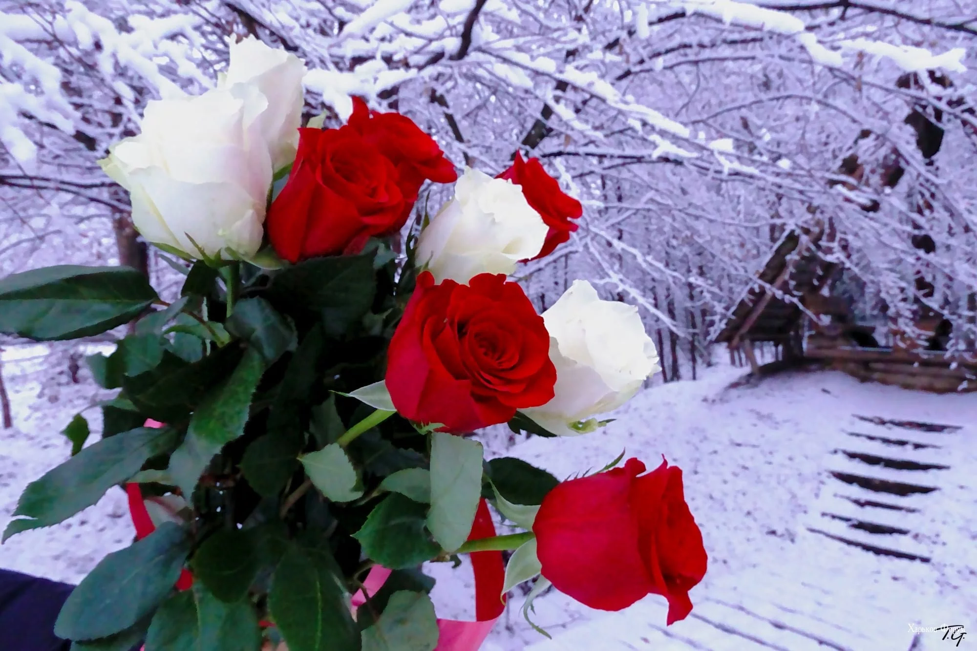 0366d70a2f0091ee.webp