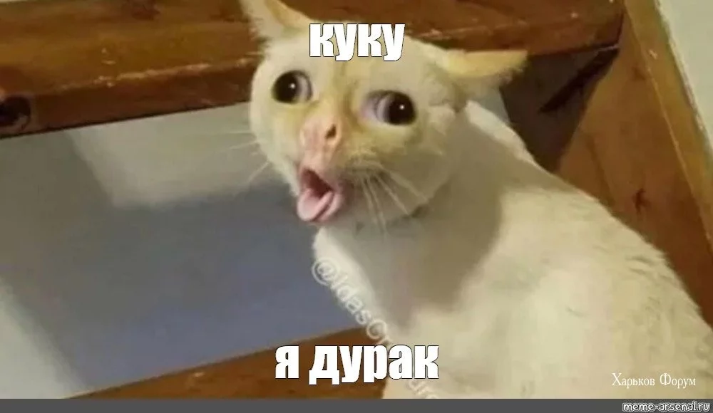 0370b6e366616e7ac02.webp