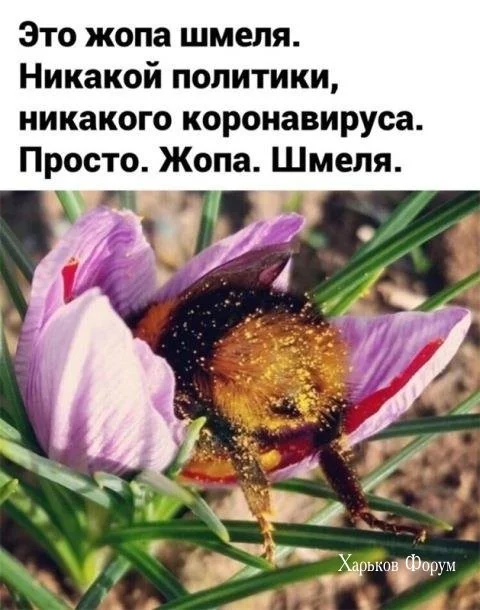 03a10a747429ac032f8.webp