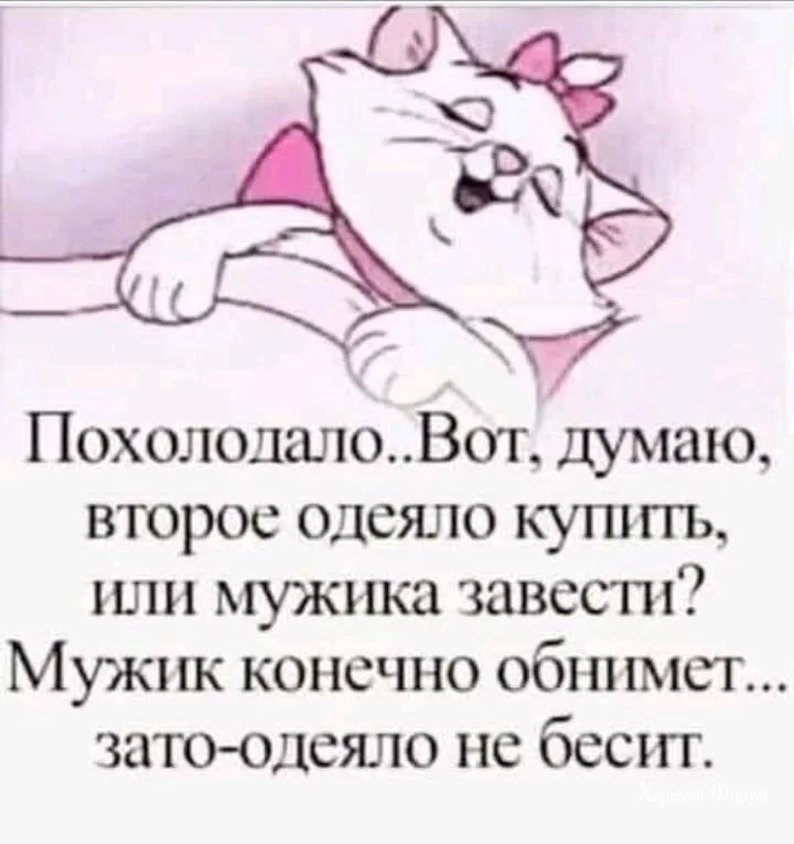 03a129a103712c8cd.webp