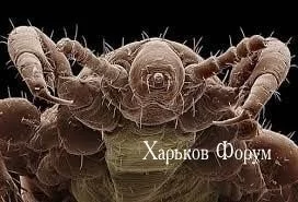03a1ed585fa7d63e396342.webp