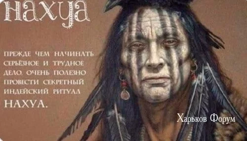 03b9a5b817ec88af1236af.webp