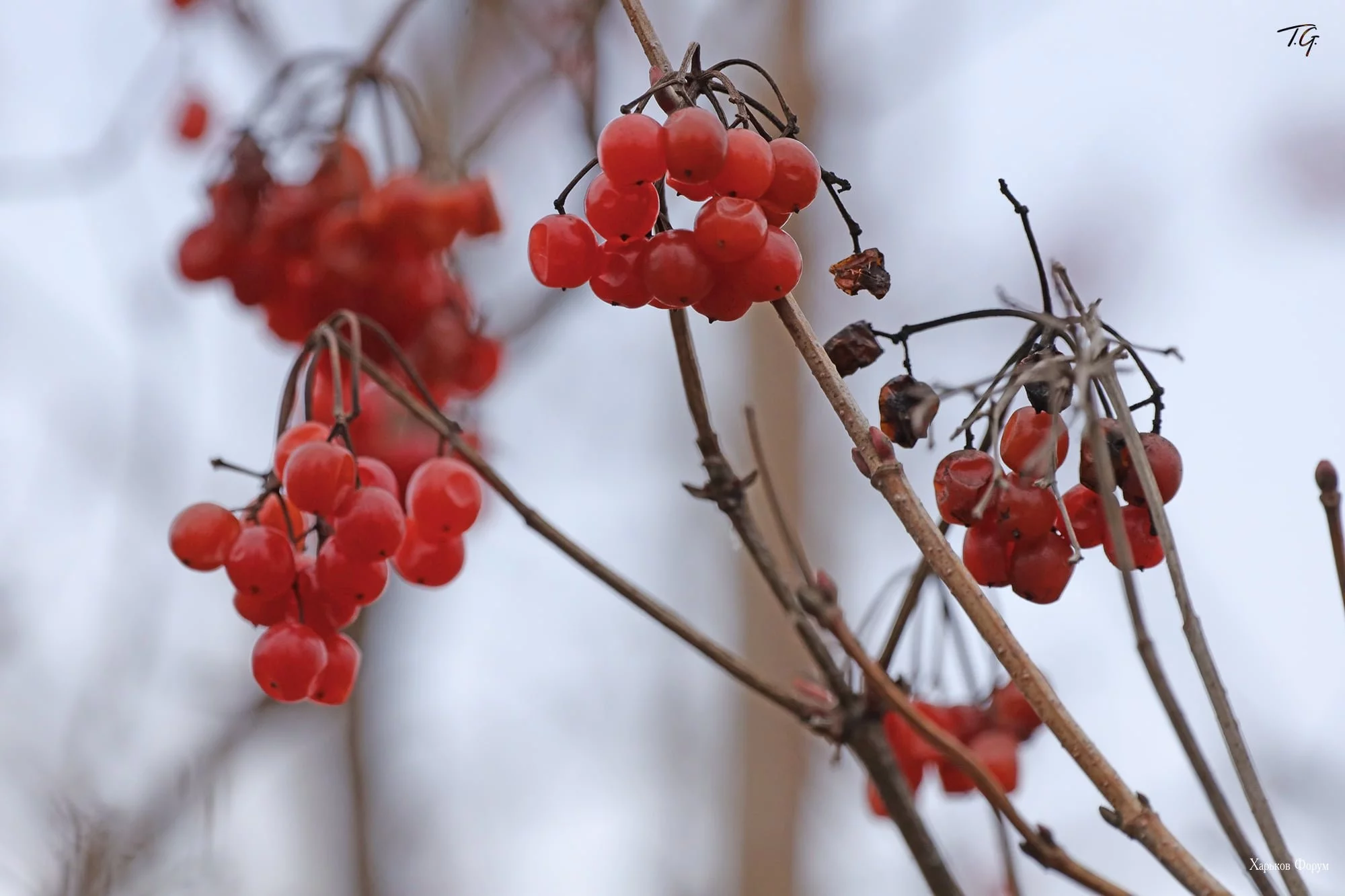 03bfc9b278bac534d43346.webp