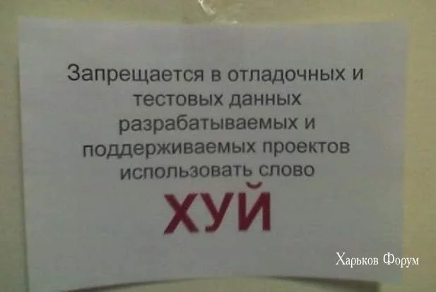 03d4be2ce64bed05e9b353.webp