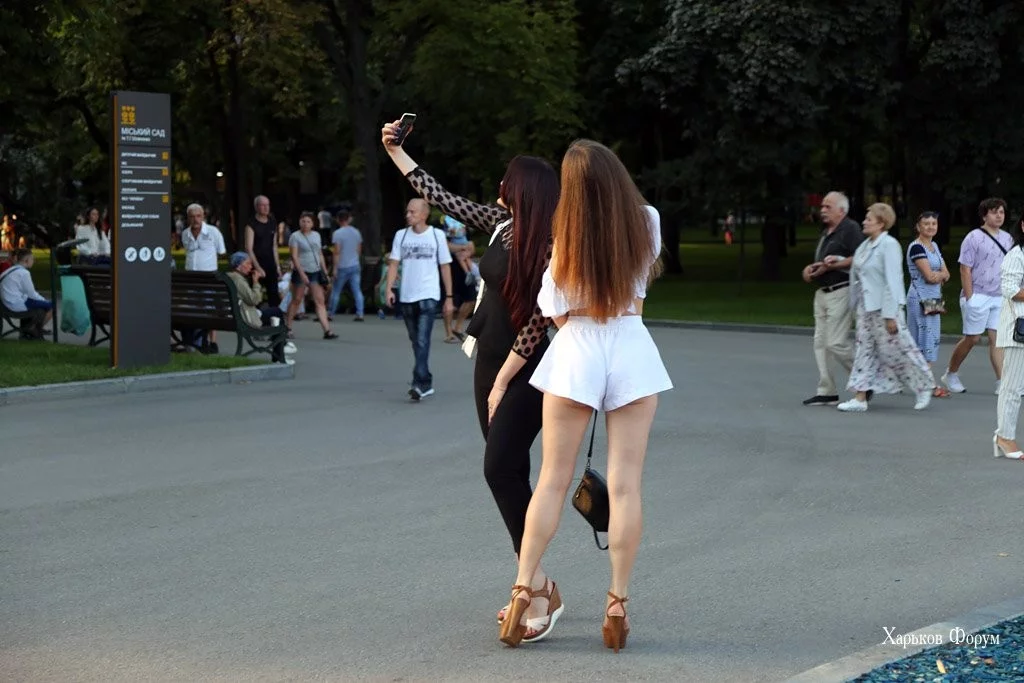 03dbb0578b8f9afe3f98f.webp
